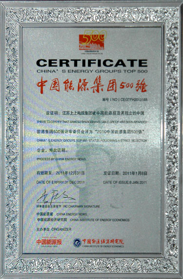 江蘇上上電纜集團(tuán)榮獲“2010中國(guó)能源集團(tuán)500強(qiáng)”