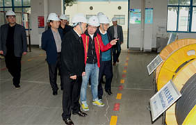 2015年11月22日，郎溪縣黨政代表團(tuán)一行來上上電纜參觀考察