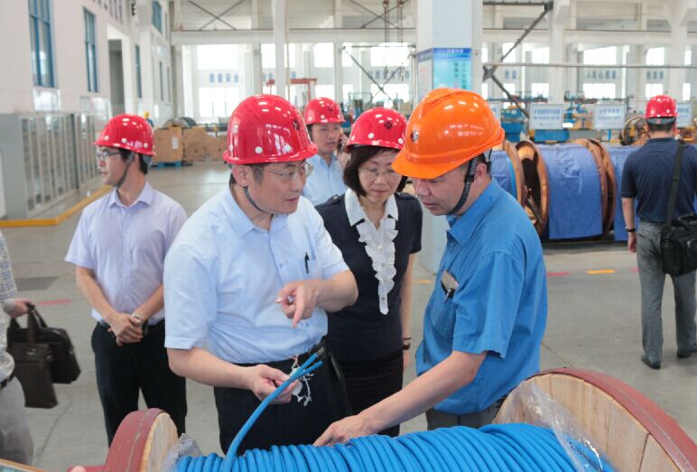 2016年7月22日，瀘州市委常委、副市長(zhǎng)王建翔一行來上上電纜參觀考察