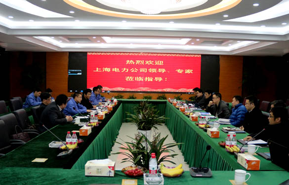 上海電力公司、上纜所領(lǐng)導(dǎo)、專家一行來上上電纜交流考察