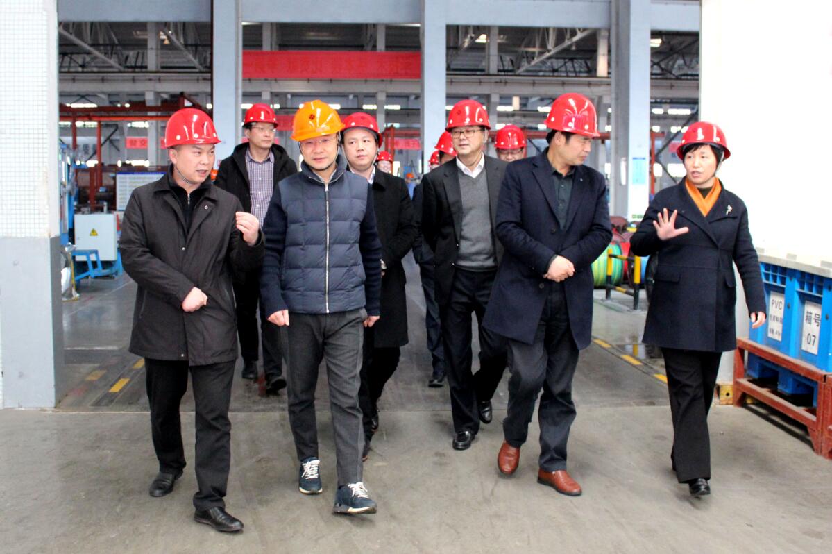 2019年3月7日，廣安市岳池縣考察團(tuán)來(lái)上上電纜參觀考察